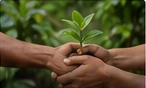 Ambiente e sustentabilidade